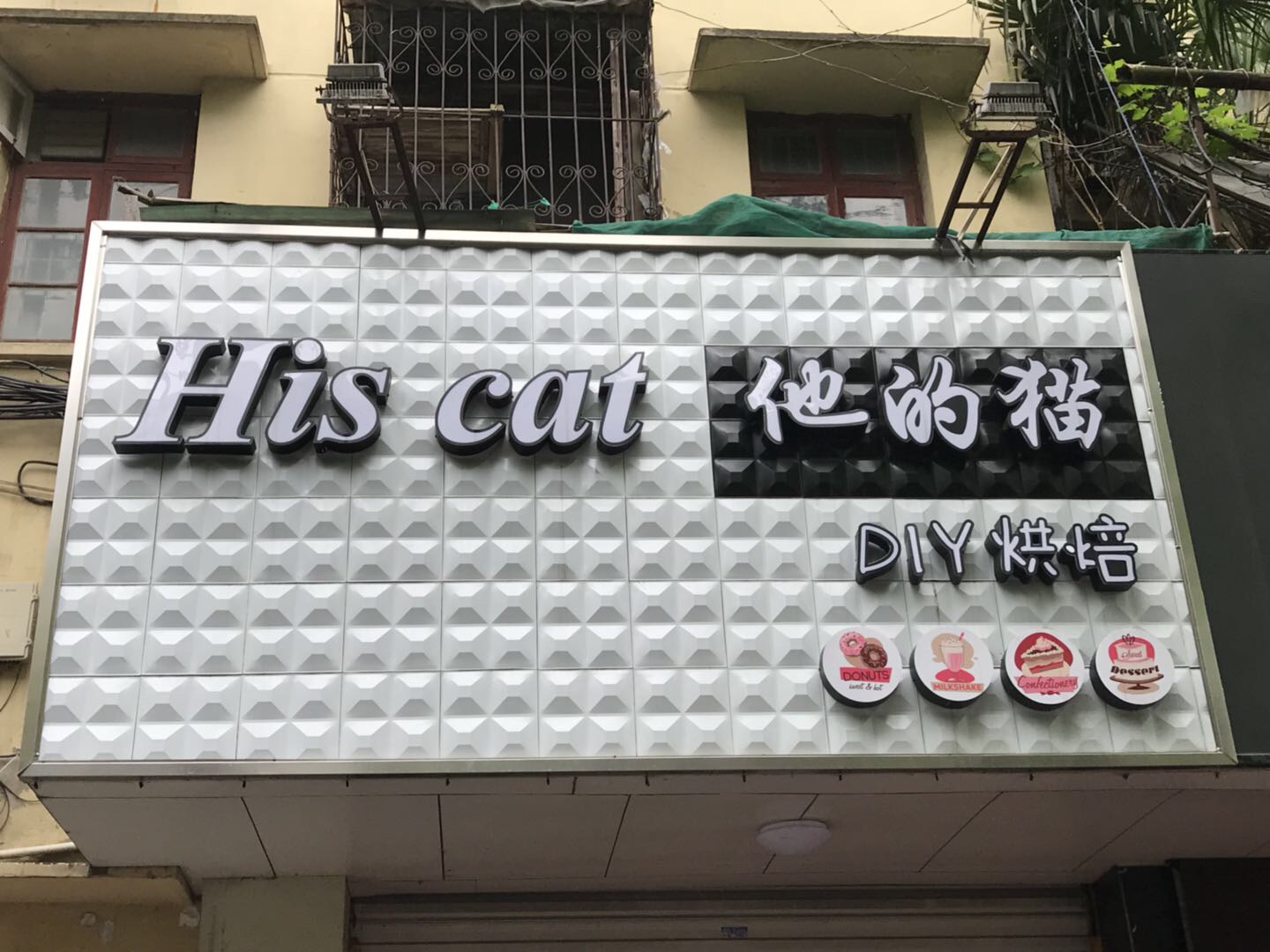 他的猫（长埭路）