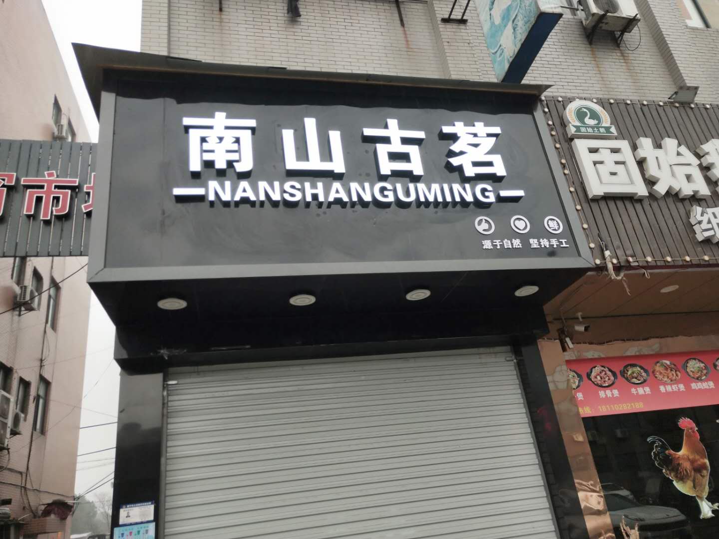 南山古茗（孙桥村）