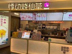悸动烧仙草（金钻）