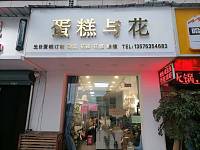 蛋糕与花（双学路）