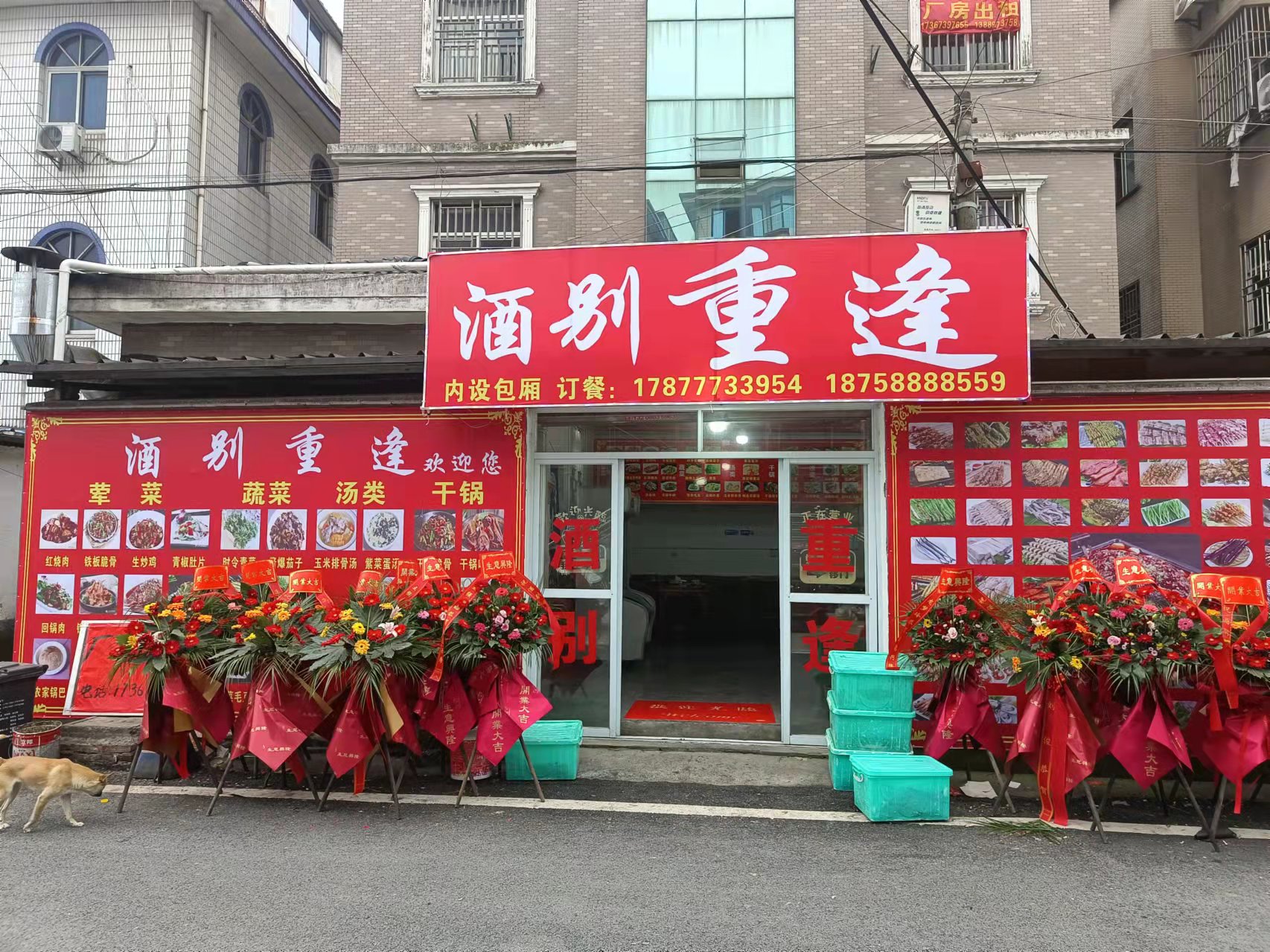 酒别重逢（塘桥村）