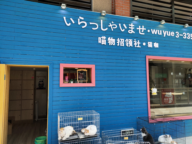 喵物招领社.猫咖（吾悦广场）
