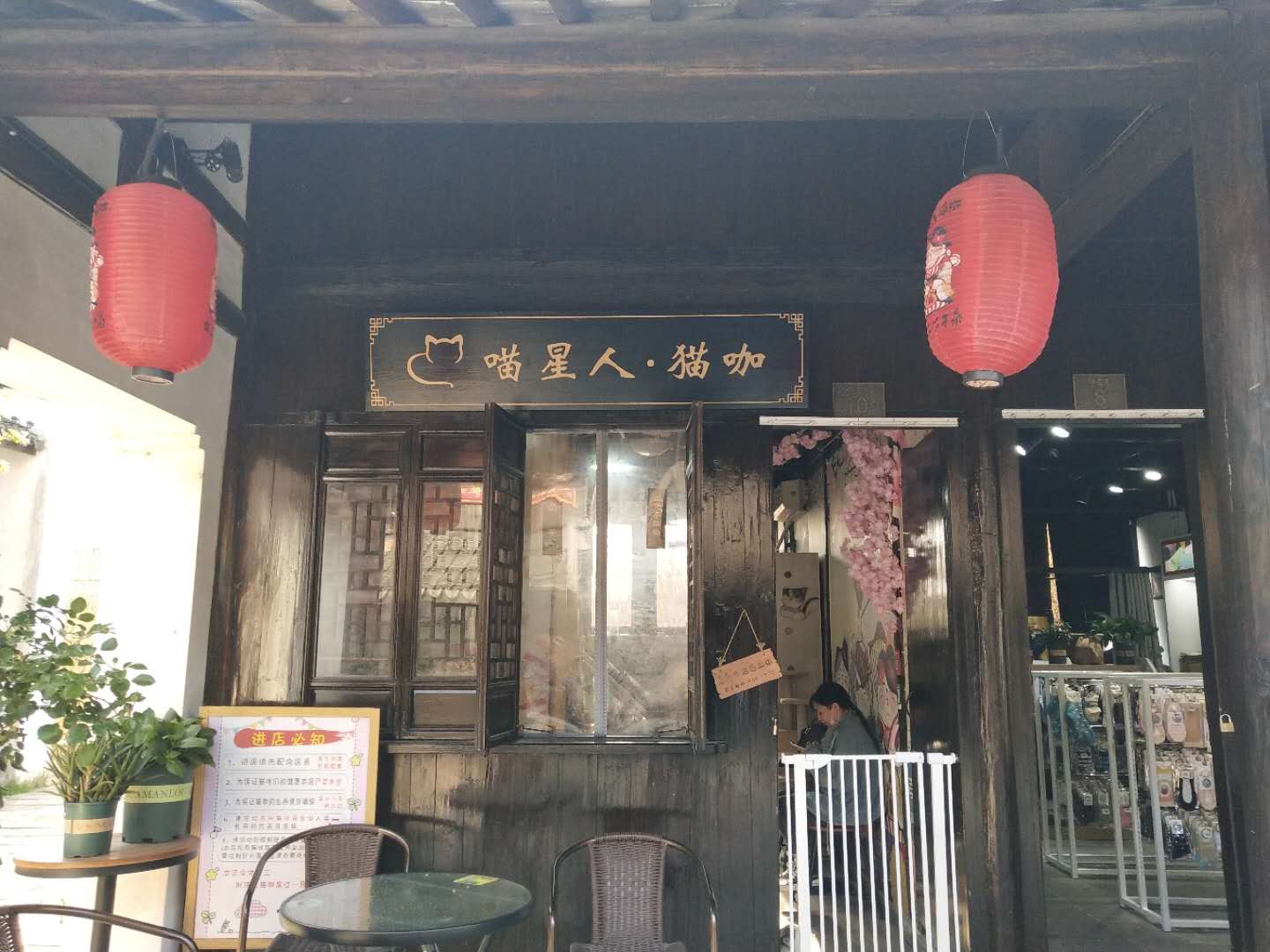 喵星人猫咖（南河头）